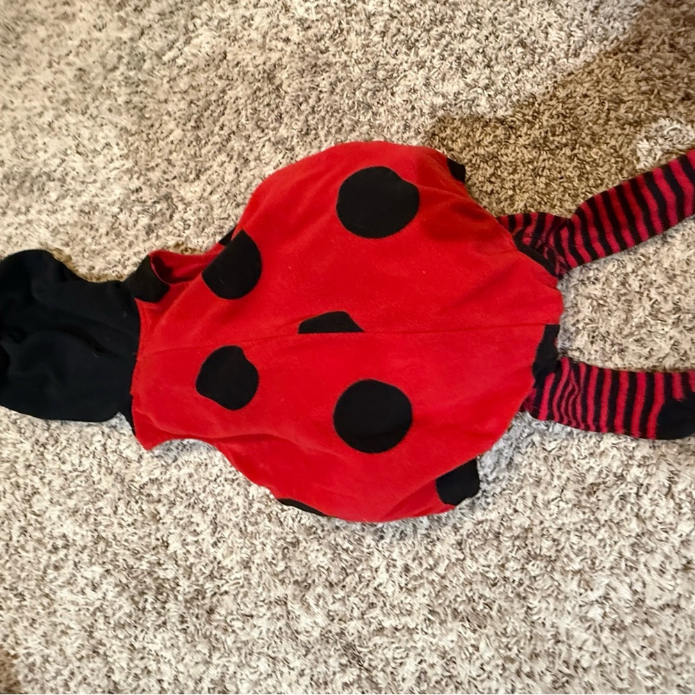 Carter's Red and Black Ladybug Outfit - Picture 2 of 3